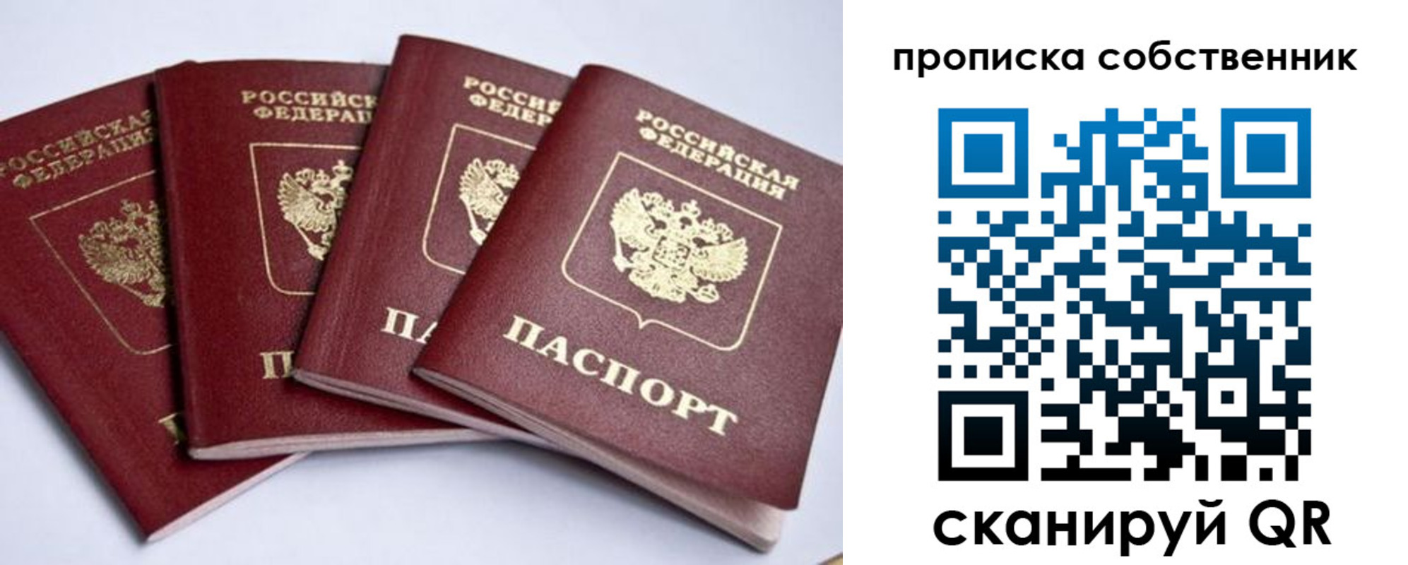 прописка для школы в Судогде