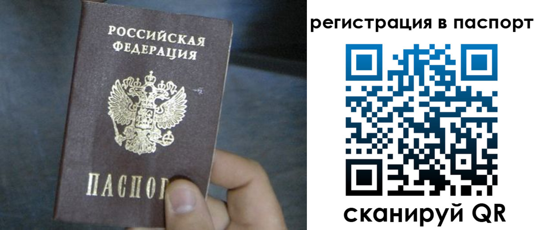 прописка 2025 в Судогде